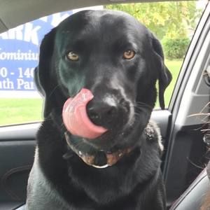 Meet your Posher, Jamie